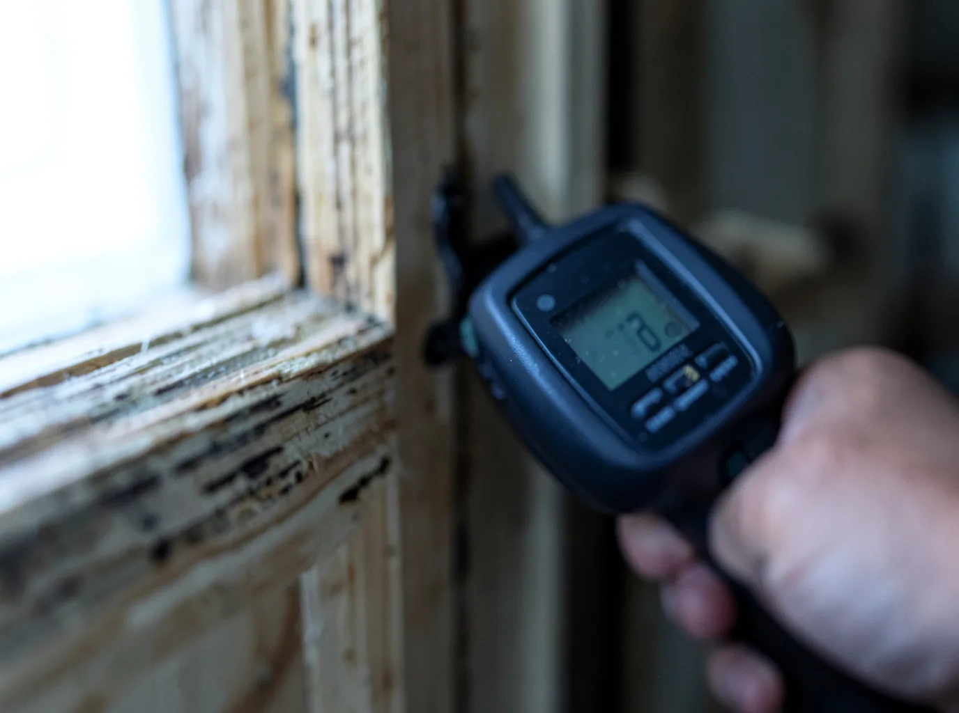 Moisture Inspection And Documentation in Pea Ridge, WV